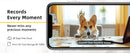 Câmera Pet WiFi 2K Boykeep 360° com Áudio Bidirecional Visão Noturna e App Monitoramento